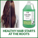 MODA Aloe Vera Moisturizing Shampoo Gallon