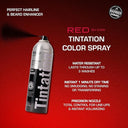 Kiss Tintation Temporary Hair Color Spray 11.5 oz. Black
