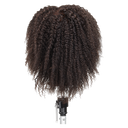 Celebrity Manikin Dwayne Textured Hair Male Head E340