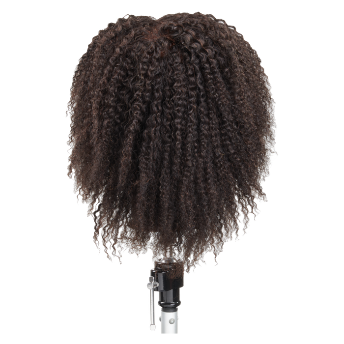 Celebrity Manikin Dwayne Textured Hair Male Head E340