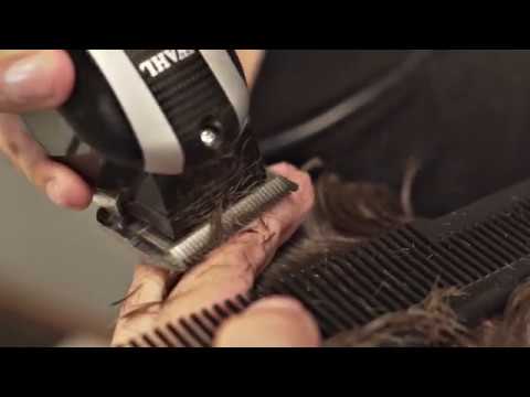 Wahl Icon Clipper Youtube Video