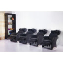Odessa Shampoo Backwash Unit