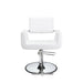 Aron Styling Chair With A12 Pump
